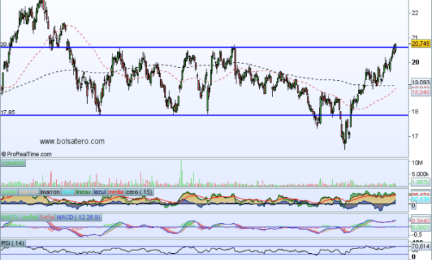 Grifols SA Stock Price A Comprehensive Analysis