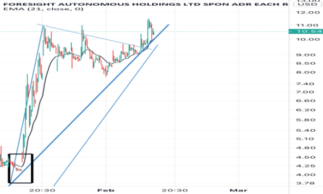 FRSX Stock Price A Comprehensive Analysis