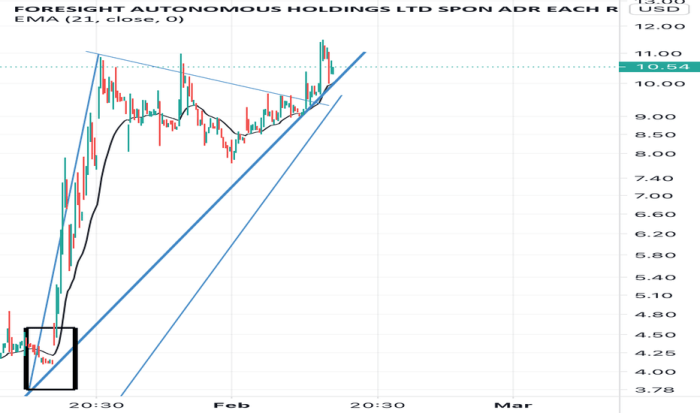 Frsx stock price