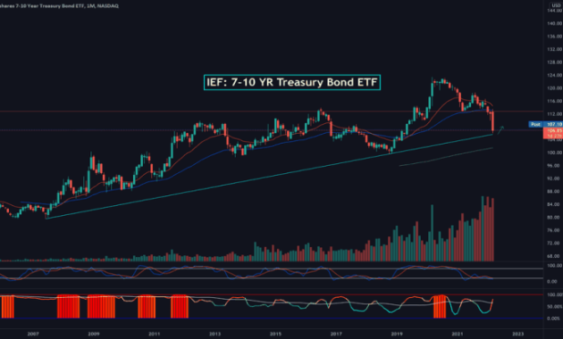 IEF Stock Price A Comprehensive Analysis