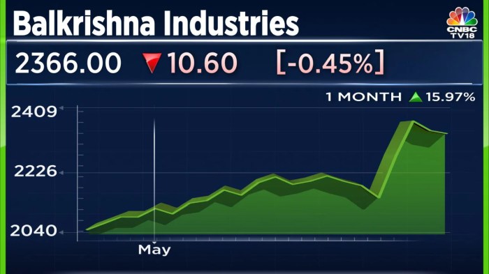 Balkrishna industries ltd stock price