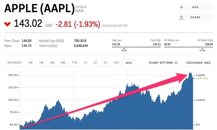 Duot stock price