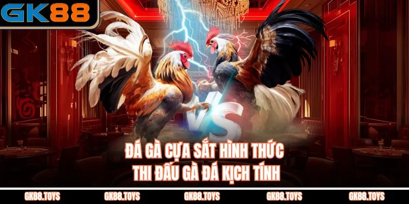 Đá Gà Cựa Sắt là hình thức thi đấu đầy kịch tính 